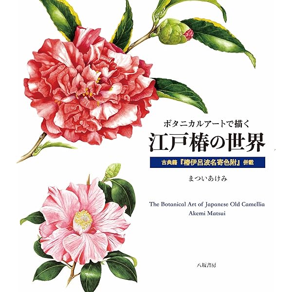 鏡花繚乱 (1)春昼/春昼後刻 ボタニカル・アートで描く泉鏡花の世界
